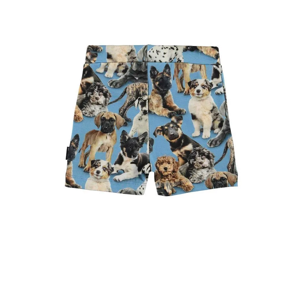 Blue Puppy Shorts