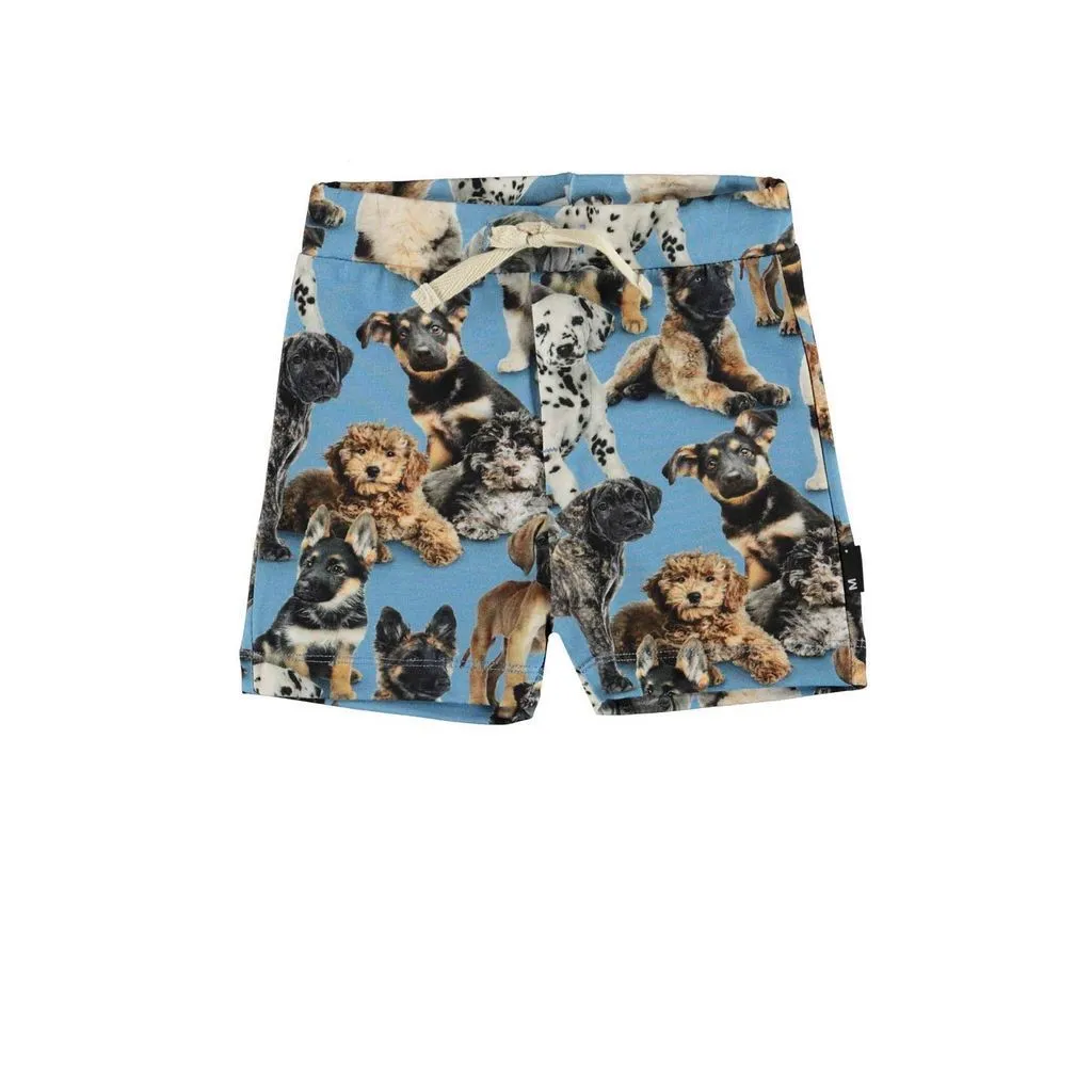 Blue Puppy Shorts