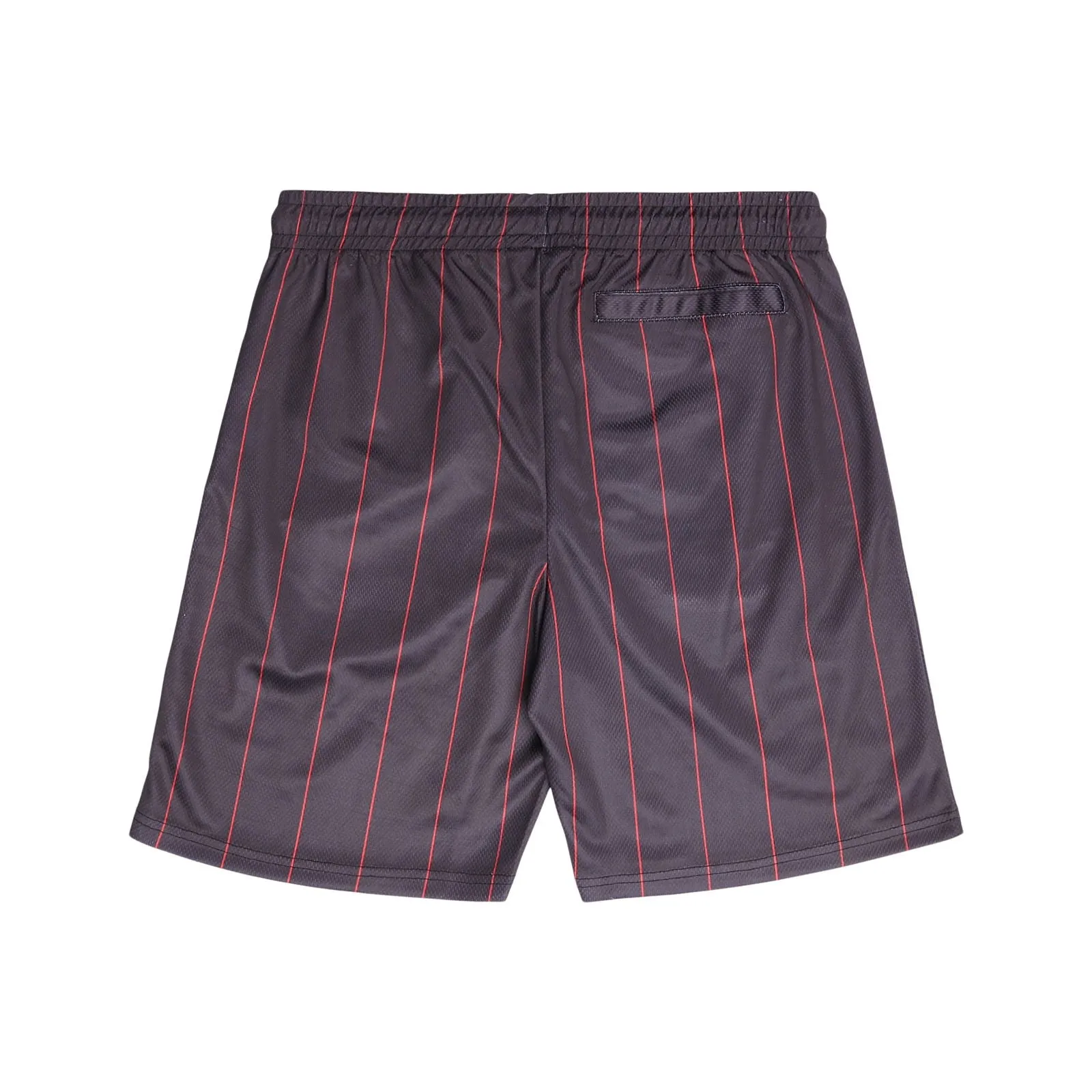 Crooks Pinstripe Mesh Shorts