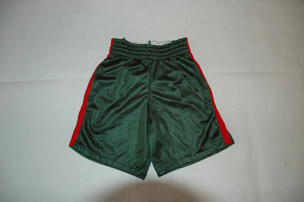 Green Mesh Shorts